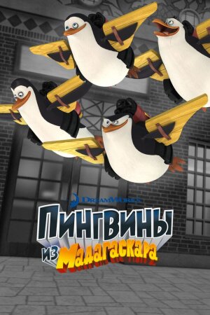 Madagaskar pingvinlari Barcha qismlar Uzbek Tilida